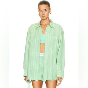 alexander wang green shirt